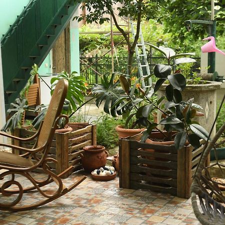 Guest House Green House Zugdidi Dış mekan fotoğraf